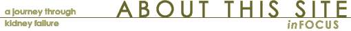 About this Site